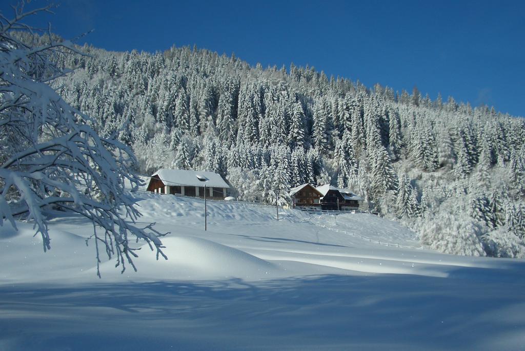 Gasthof Thurnerhof Untertweng ภายนอก รูปภาพ